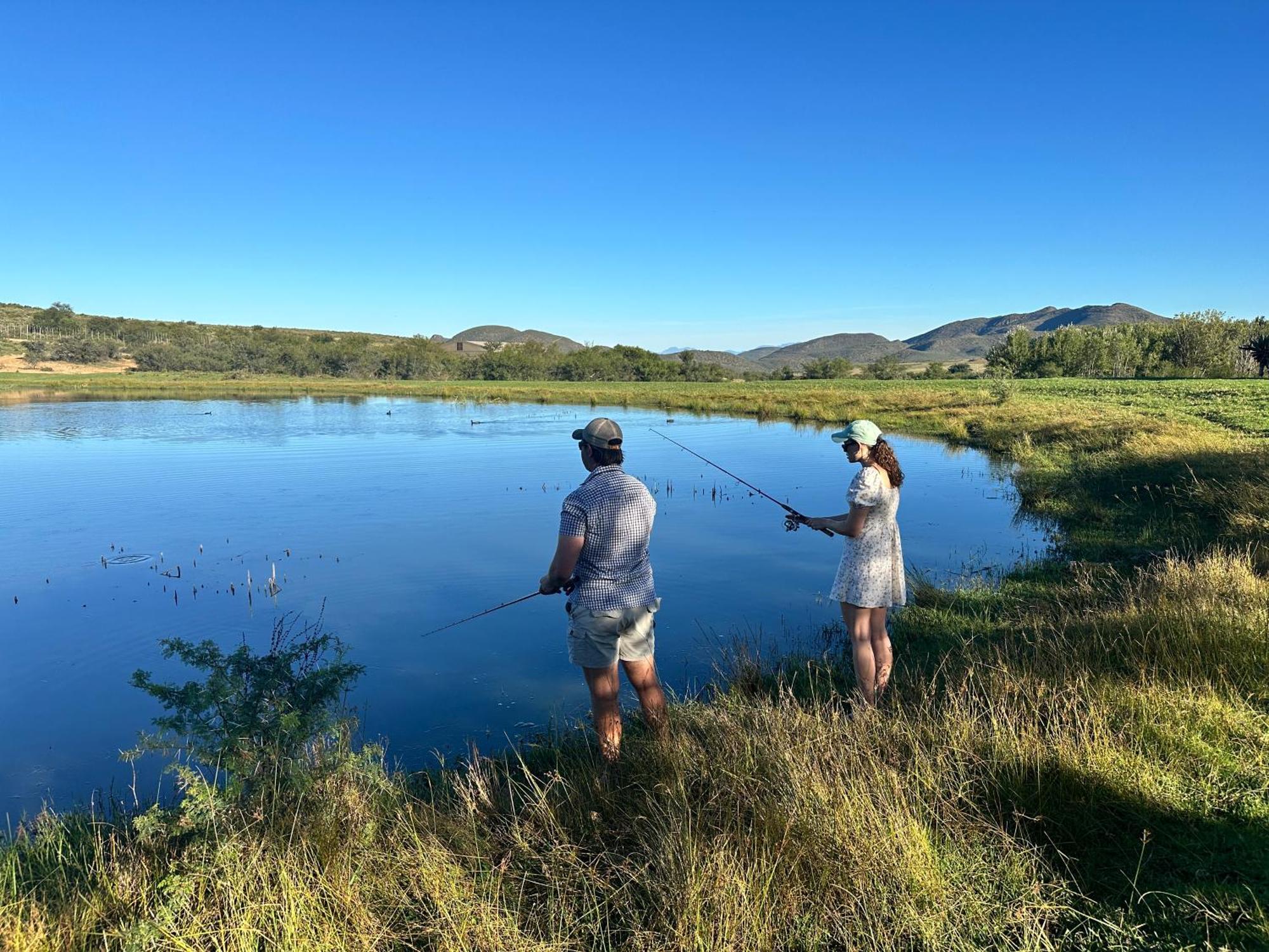 Swartberg Private Game Lodge Oudtshoorn Buitenkant foto